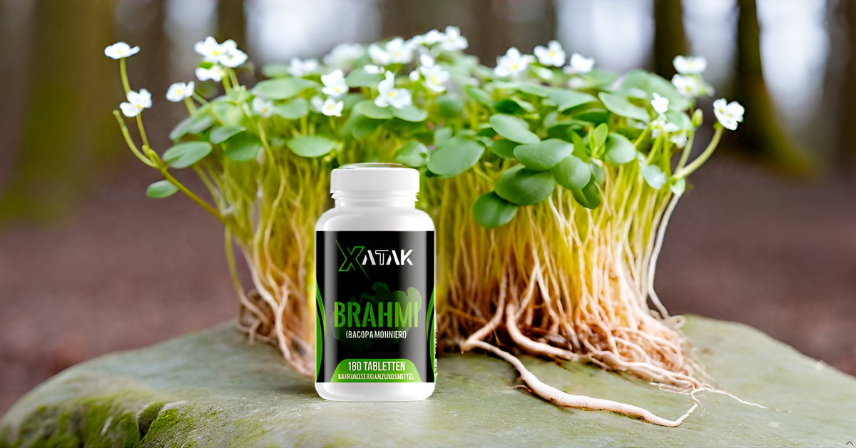 XATAK Bio Brahmi+ | 1.500mg Bacopa monnieri Pulver | 2% Bacoside | Laborgeprüft | Vegan & Zusatzfrei | Originale Brahmi Pulver BIO aus Indien 180 Tabletten