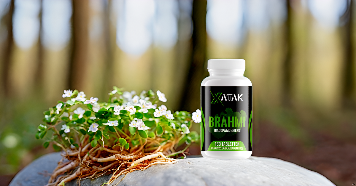 XATAK Bio Brahmi+ | 1.500mg Bacopa monnieri Pulver | 2% Bacoside | Laborgeprüft | Vegan & Zusatzfrei | Originale Brahmi Pulver BIO aus Indien 180 Tabletten