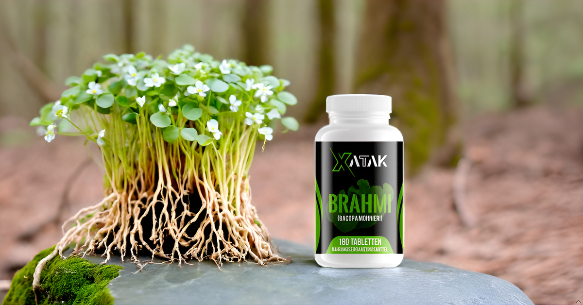 XATAK Bio Brahmi+ | 1.500mg Bacopa monnieri Pulver | 2% Bacoside | Laborgeprüft | Vegan & Zusatzfrei | Originale Brahmi Pulver BIO aus Indien 180 Tabletten