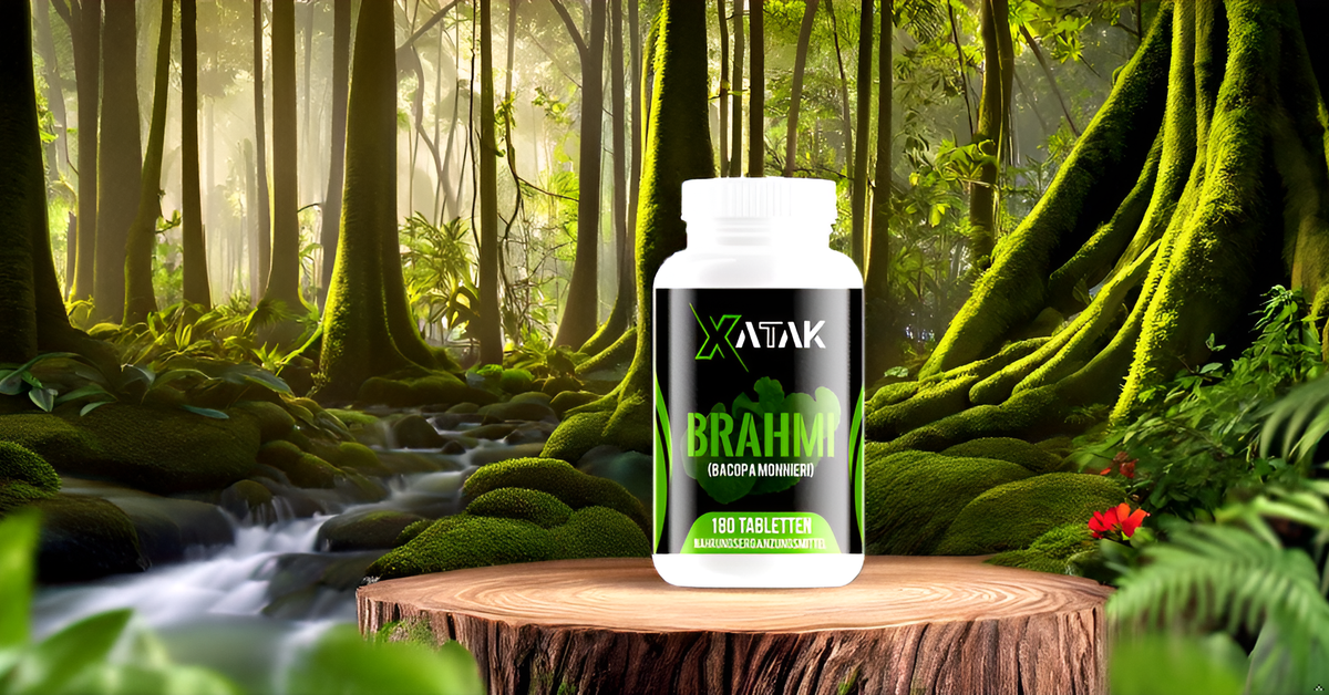 XATAK Bio Brahmi+ | 1.500mg Bacopa monnieri Pulver | 2% Bacoside | Laborgeprüft | Vegan & Zusatzfrei | Originale Brahmi Pulver BIO aus Indien 180 Tabletten
